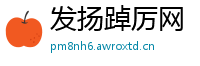 发扬踔厉网
